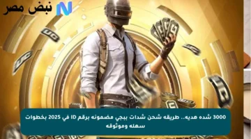 3000 شدة هدية.. طريقة شحن شدات ببجي مضمونة برقم ID في 2025 بخطوات سهلة وموثوقة